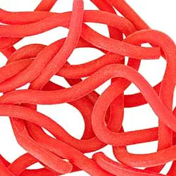Squirmy Worms