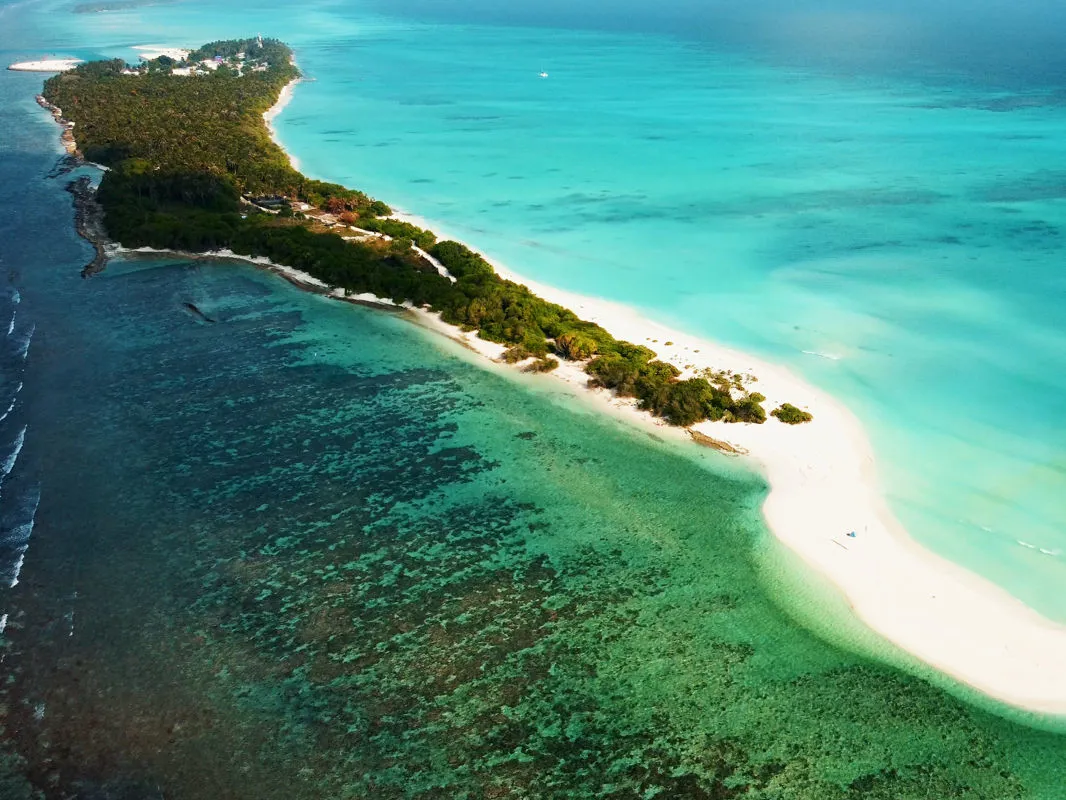 Maldives: fly fishing in tropical saltwater at GT, Blue Fin, Rainbow Runner, Snapper, Trigger Fish, Grouper and more.