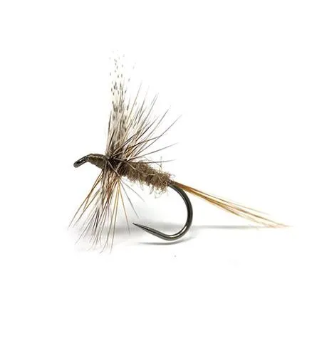 Lavezzinifly - Dry - March Brown