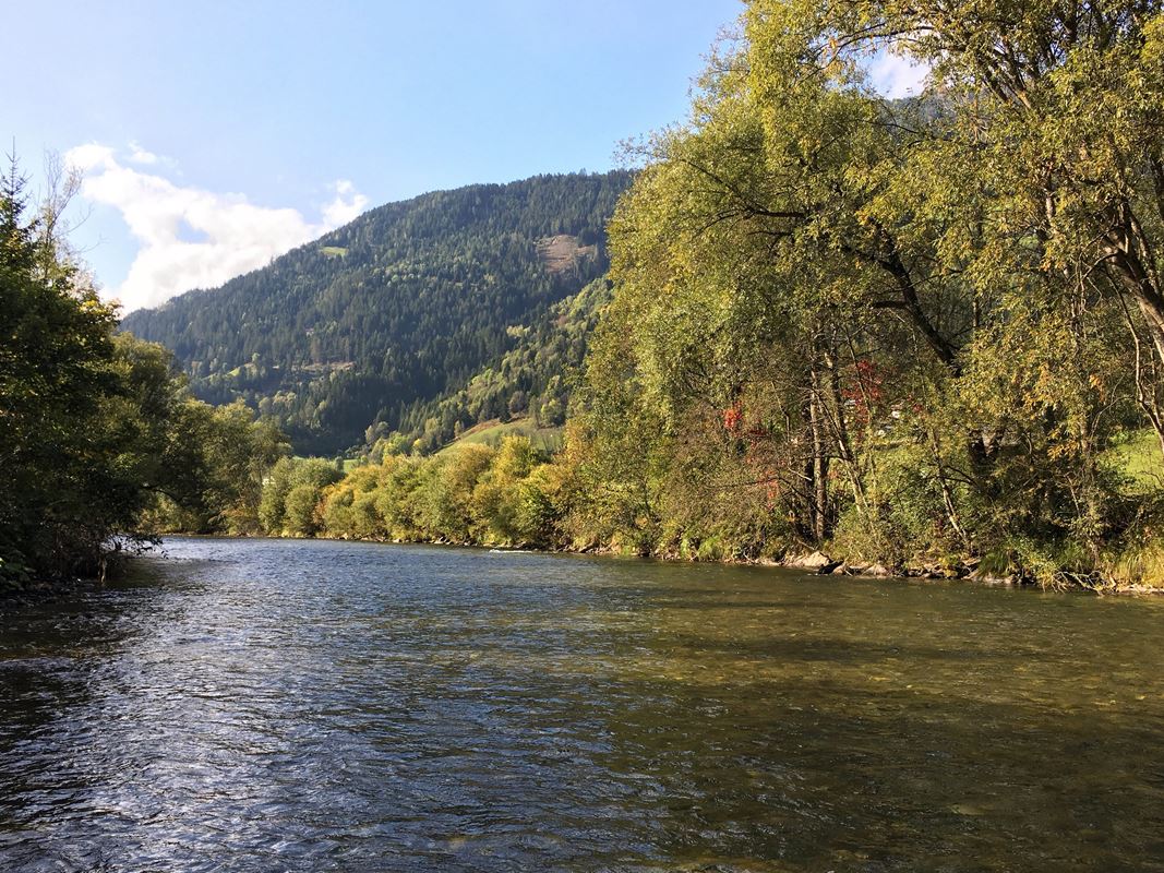 Austria 2019: fiume Möll 