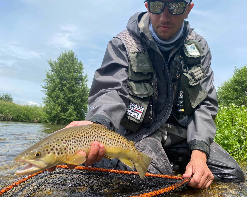 Pesca a mosca: Fiume Bacchiglione