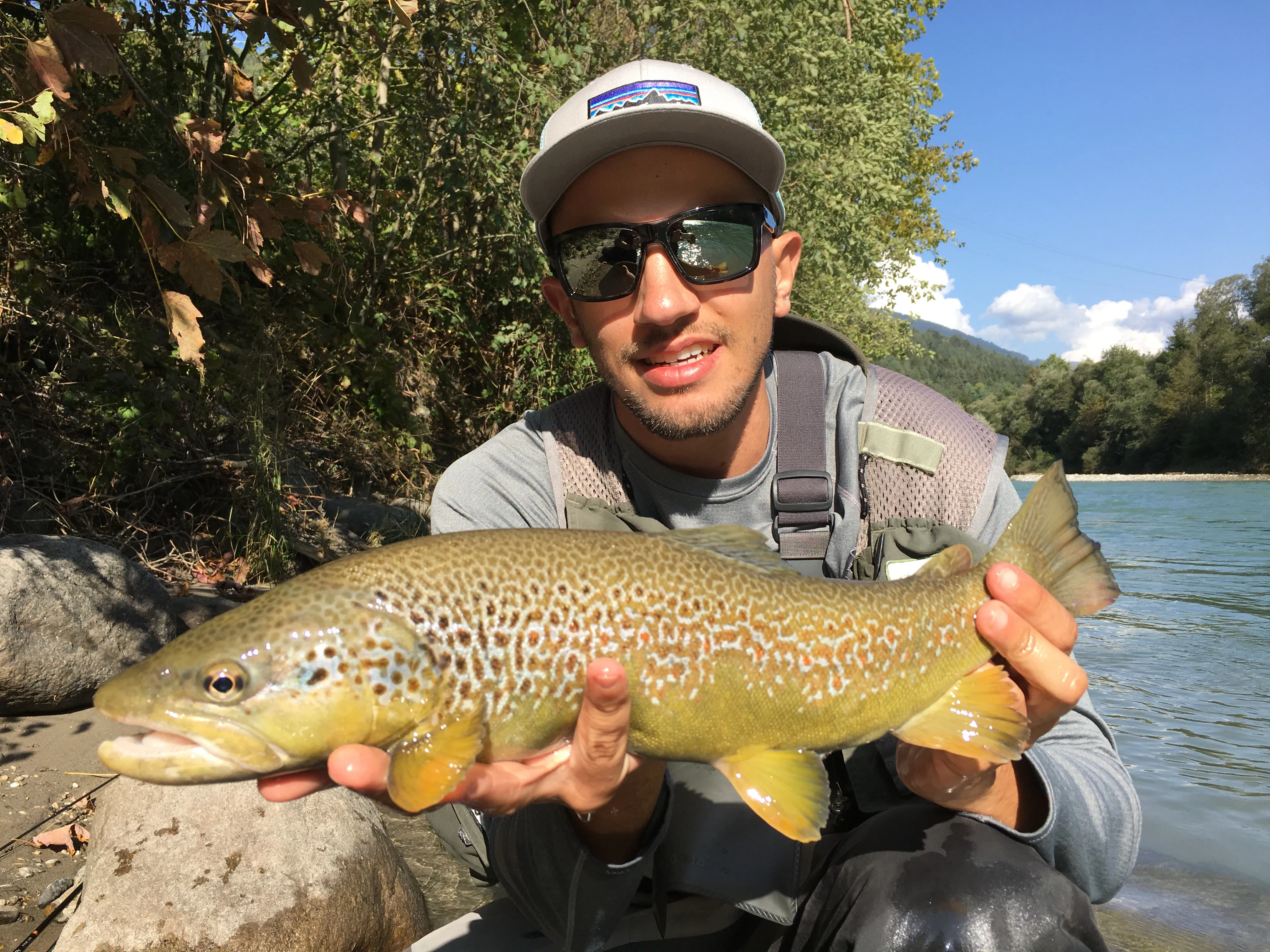 Rienza River: trouts and graylings