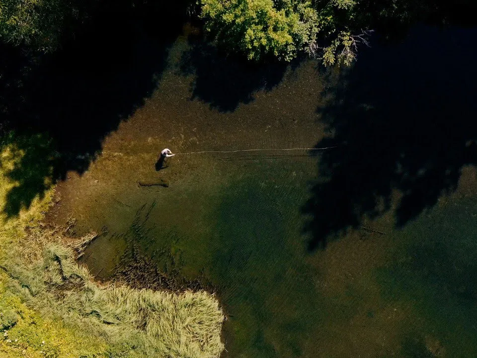 Alto Chiese Nudole: brook trouts, trouts and graylings.