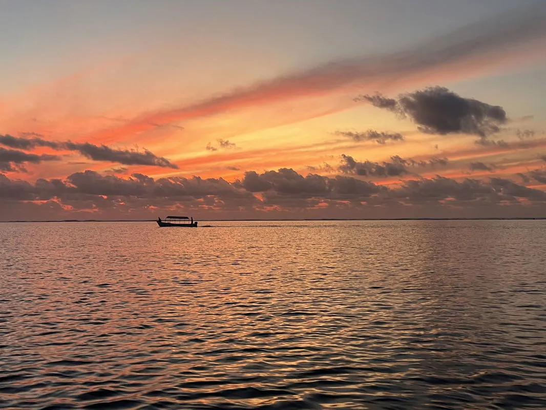 Zanzibar: holiday and fly fishing among corals, starfish, dolphins, turtles and Safari!