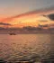 Zanzibar: holiday and fly fishing among corals, starfish, dolphins, turtles and Safari!