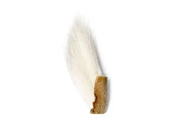 Fly Cone Head STREAMER MIKEY FINN (4 6 8 10 Fly Cone Head STREAMER MIKEY FINN (4 6 8 10