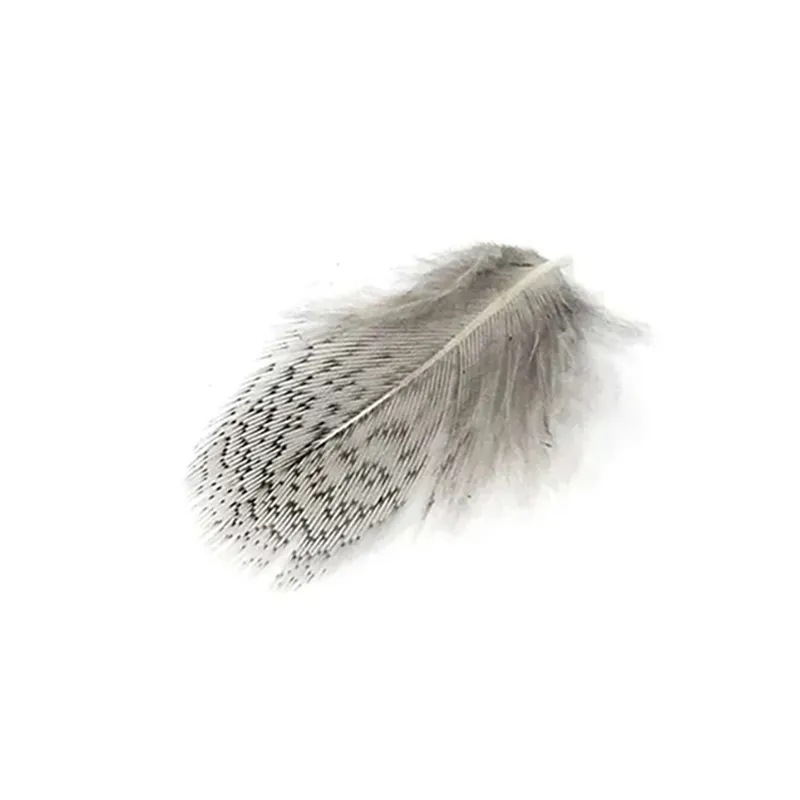 Selected Hungarian Partridge Feathers