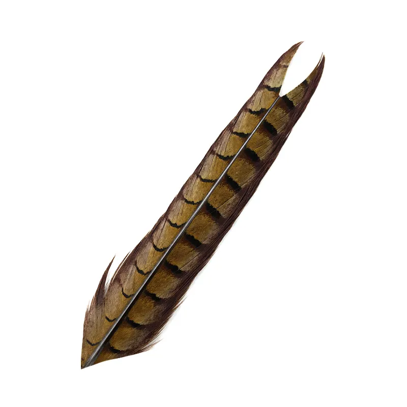 Pheasant Tail