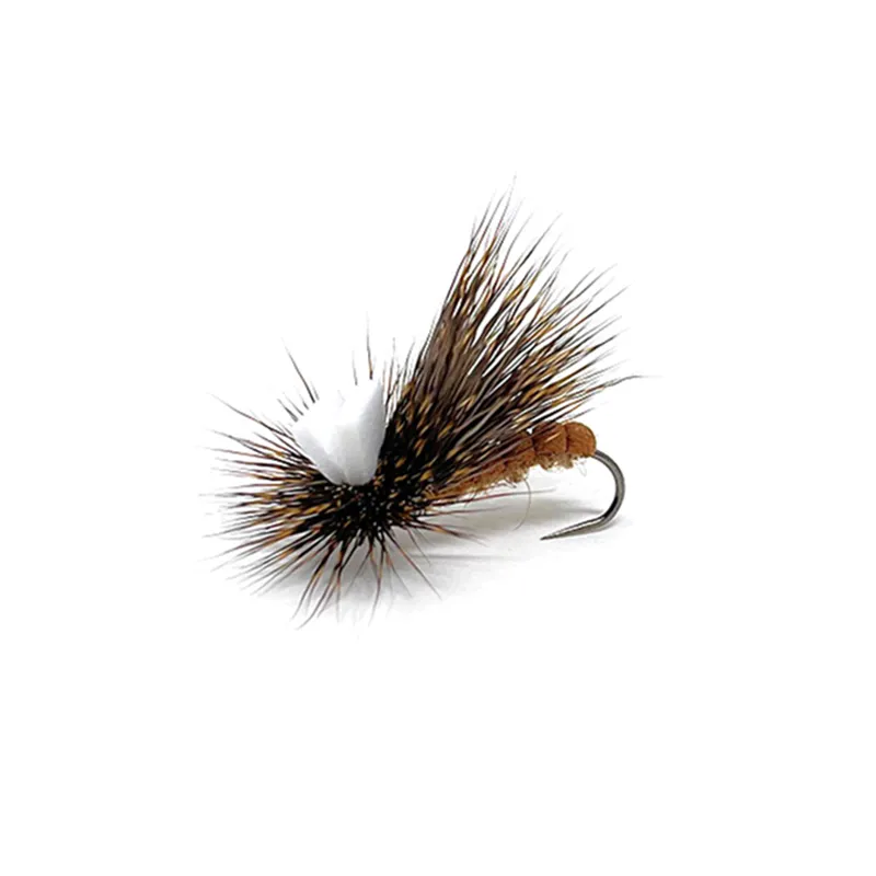 LYT Series - #10 - Sedge in Capriolo Foam Bianco