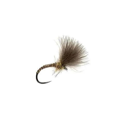 Fulling Mill - Quill CdC Emerger Natural