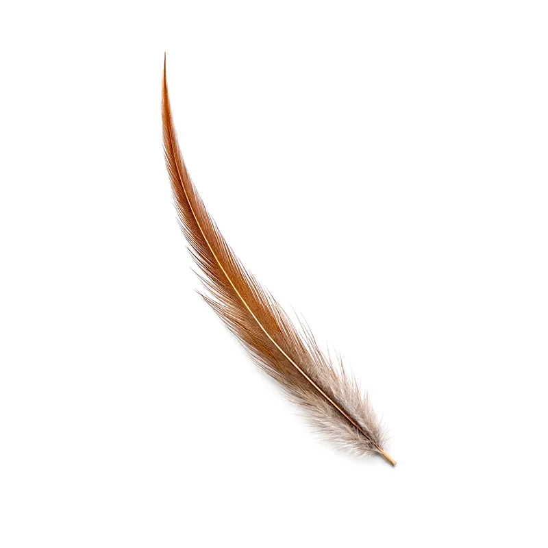 Selected Dry Fly Hackle Feathers