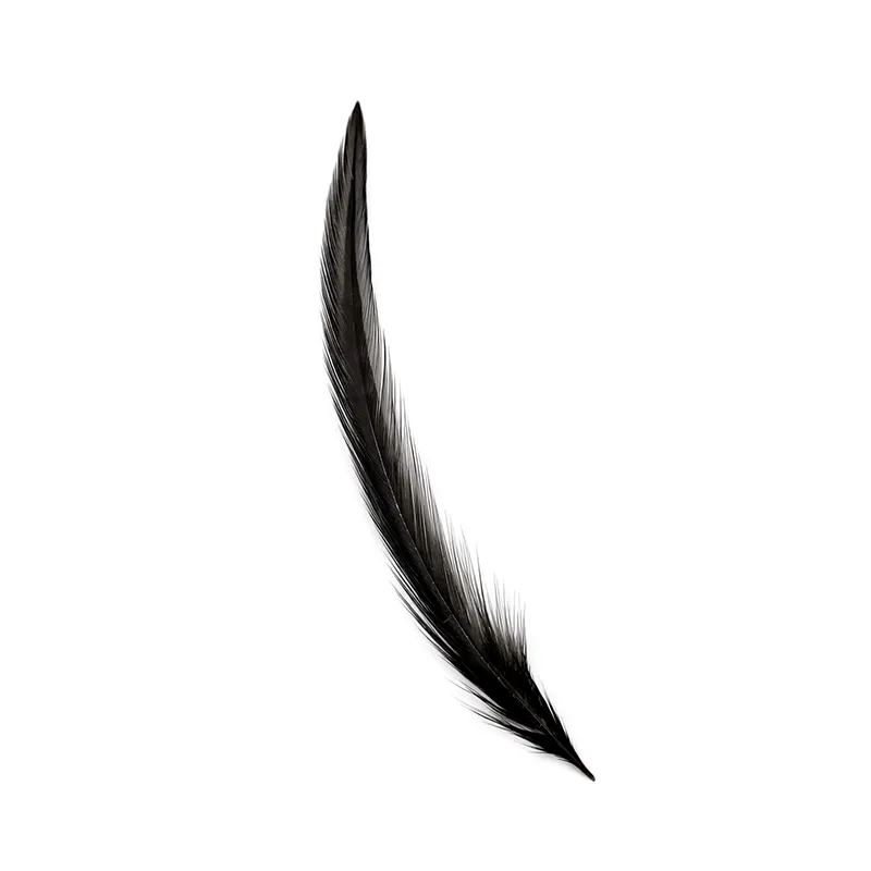 Selected Rooster Tail Feathers