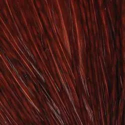 Selected Rooster Tail Feathers