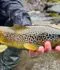 Passirio River Fly Fishing Experience