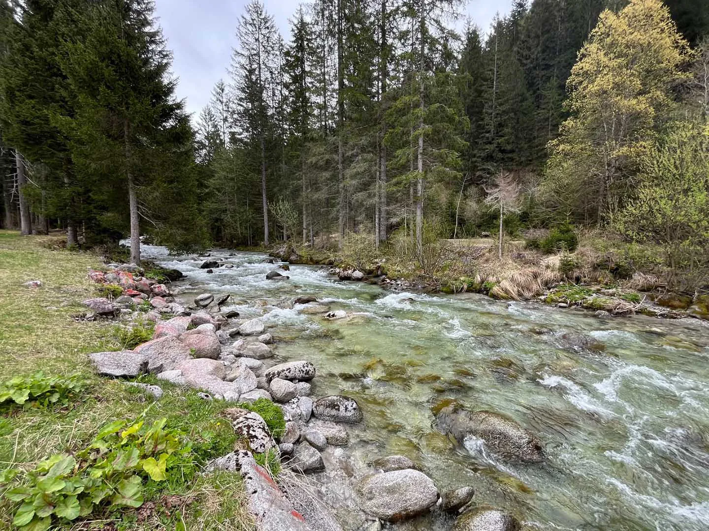Alto Sarca Fly Fishing Experience