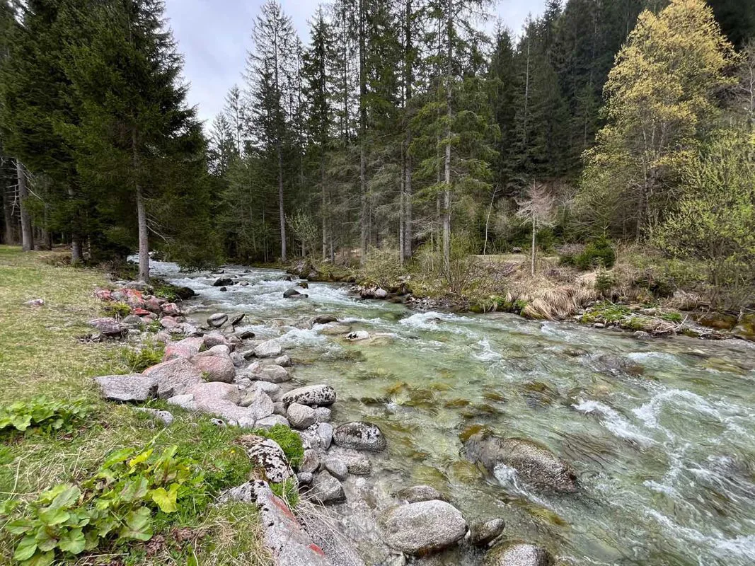 Alto Sarca Fly Fishing Experience